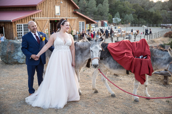 Small Wedding | Venu Details